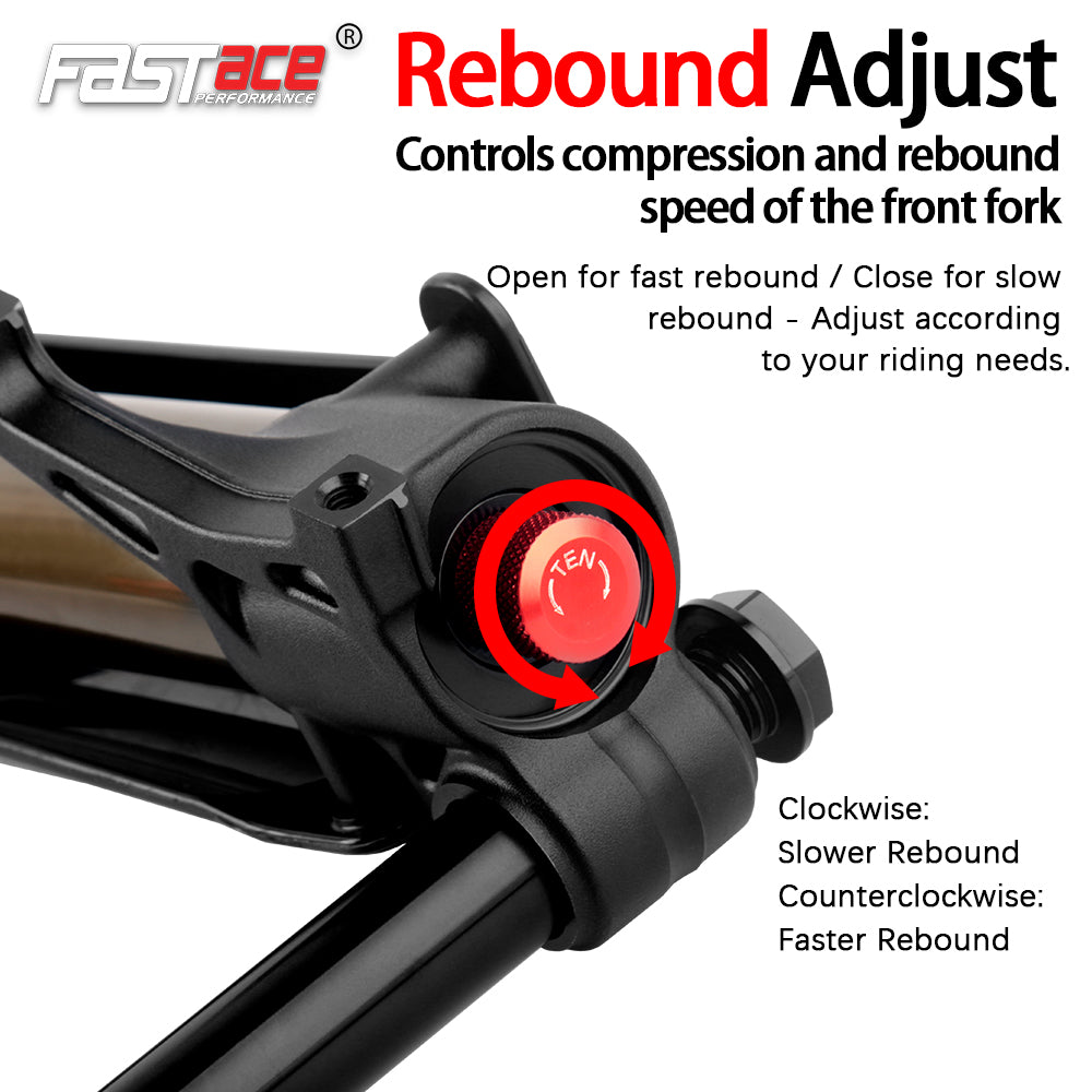 FASTACE AHX17ARP Original Factory Front Fork Suspension Tapered Aluminum Steerer Dual Disc Brake 74.2mm PM for MTB Snow Bike