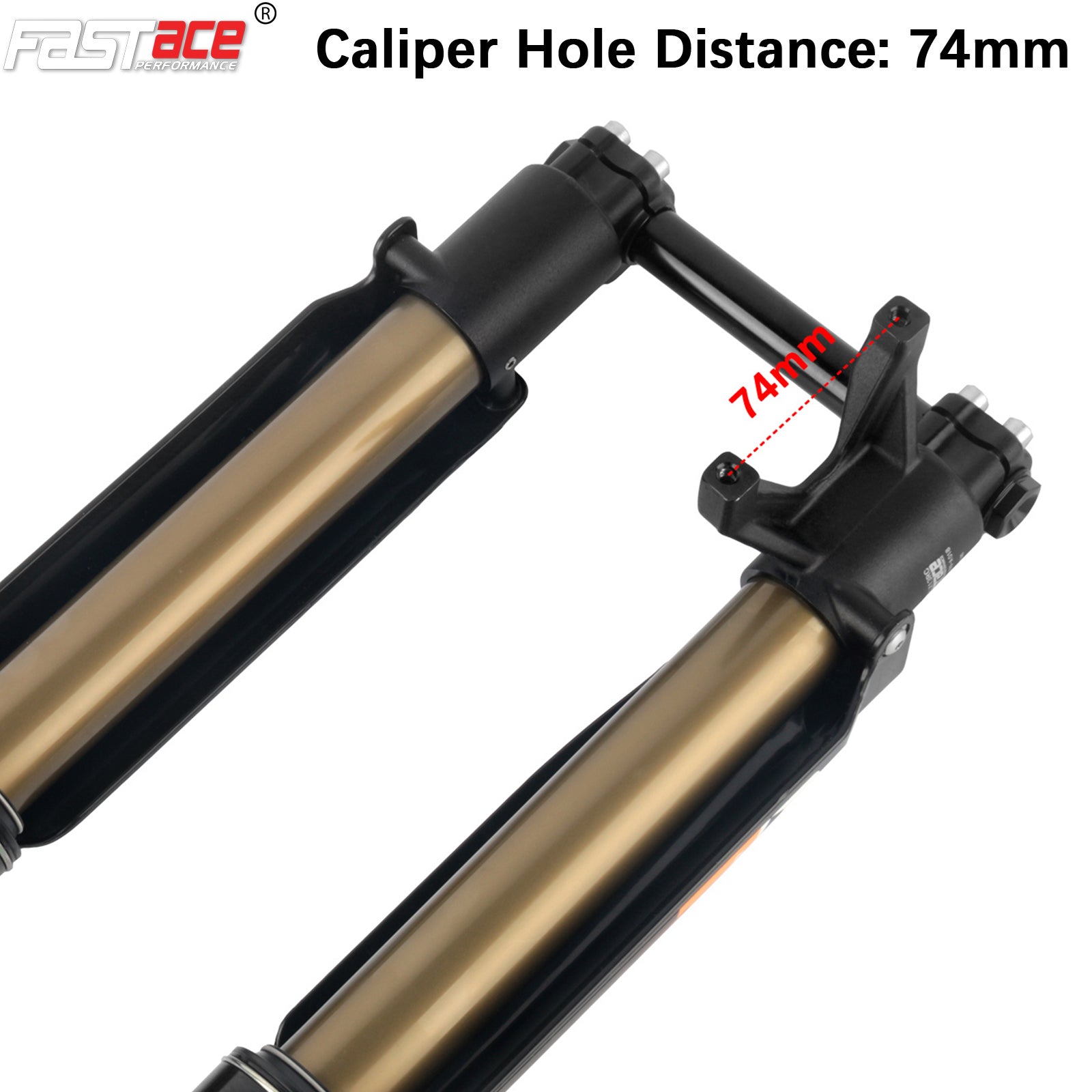 FASTACE ALX13RC 2.0 Original Factory Front Fork Suspension For Surron